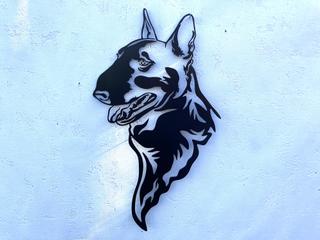 INT27 - Bull Terrier
